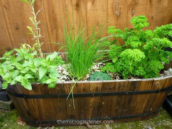 Small garden design: A wooden raised container garden filled with herbs or vegetables is practical and attractive. | The Micro Gardener 