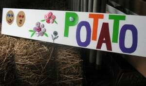 Potato sign made by children on corflute board