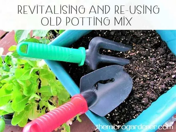 Revitalising and re-using old potting mix