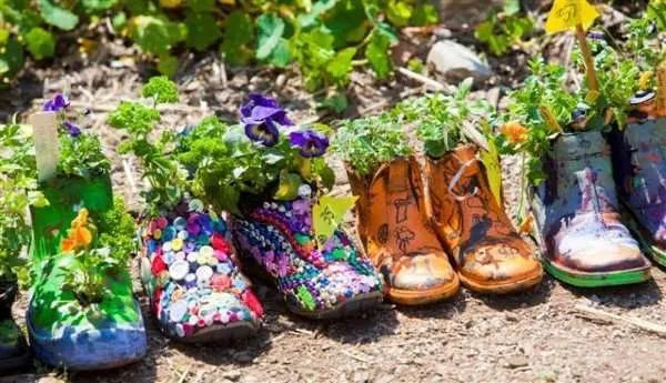 Cute boots! Colourful upcycled shoe planters decorated by children and planted out.
