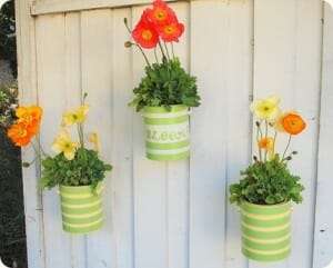 Old tin cans in a variety of sizes can be easily made into planters with a few drainage holes in the bottom.