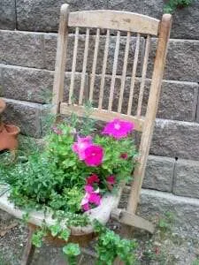 When timber chairs are past their prime or the seat falls apart, it's the perfect time to reuse as a feature garden planter. | The Micro Gardener www.themicrogardener.com