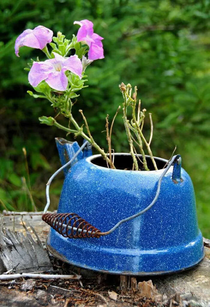 Kettle planter | The Micro Gardener @ www.themicrogardener.com