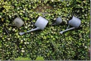 A collection of watering cans are affixed to this green wall as a decorative feature.