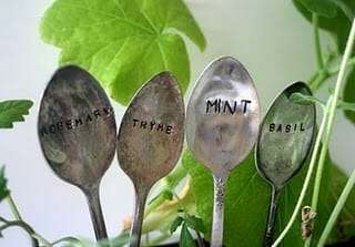 Convert your old cutlery like spoons and knives into attractive and practical long-lasting plant markers.