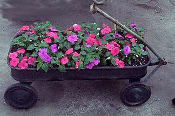 With an easy to pull handle, any cart or wagon is perfect for a mobile garden.