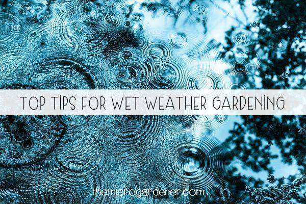 Top Tips for Wet Weather Gardening