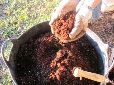 Water Saving Tip for Container Gardens: Coir peat quickly reabsorbs water, even when it has completely dried out. It holds up to 70% of its own weight in water. 