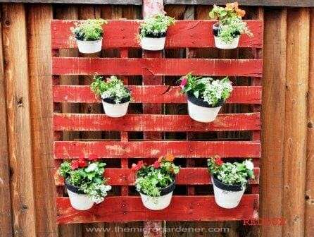 Pots hanging on a wooden pallet | The Micro Gardener