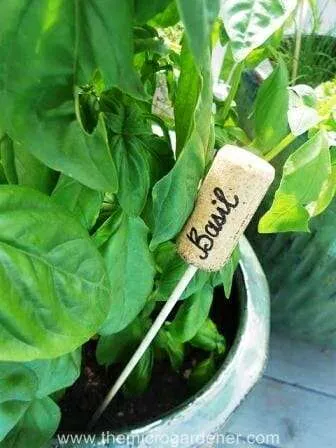 Cork plant label | The Micro Gardener