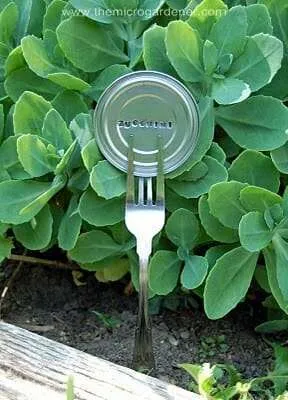 Cutlery & tin lid label | The Micro Gardener