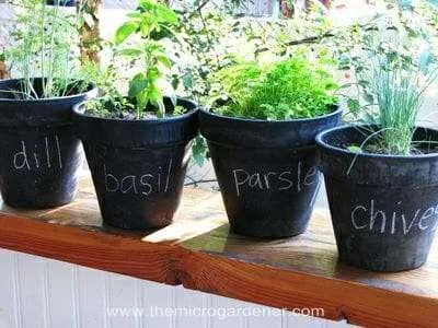 24 Mini Wooden Herb Plant Pot Blackboard Garden Kitchen Seed Flower Labels Tags 
