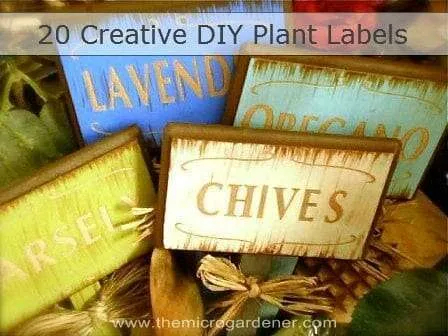 20 Creative Diy Plant Labels Markers The Micro Gardener