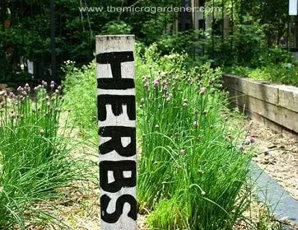 Wooden herbs plant marker | The Micro Gardener