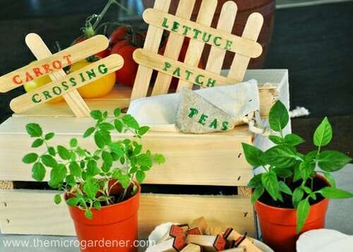 Norand Wooden Plant Labels,4 Types Wood Plant Sign Garden Tags Markers for Potted Herbs Flowers Vegetables Greenhouse