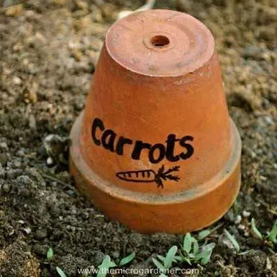 Clay pot marker | The Micro Gardener