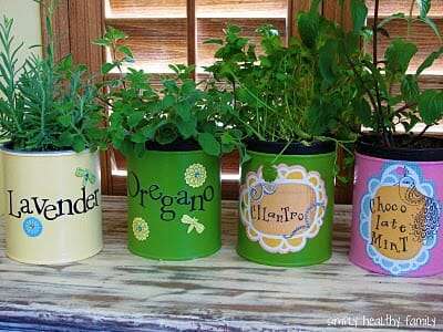 Mini window sill herb garden in upcycled can planters | The Micro Gardener