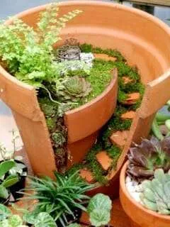 Miniature garden in a pot | The Micro Gardener