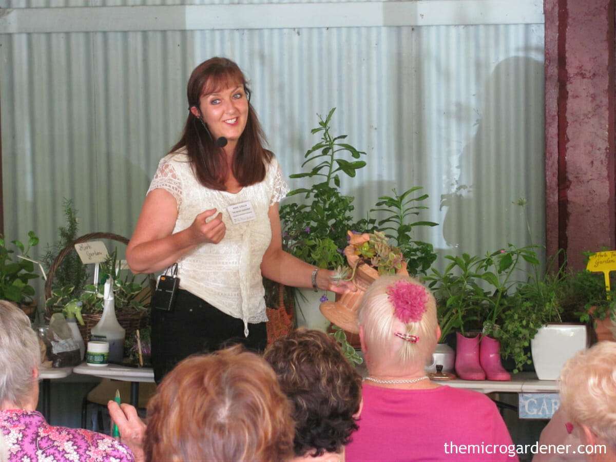 Anne Gibson presenting workshop Maleny Garden Club Anne Gibson presenting workshop Maleny Garden Club