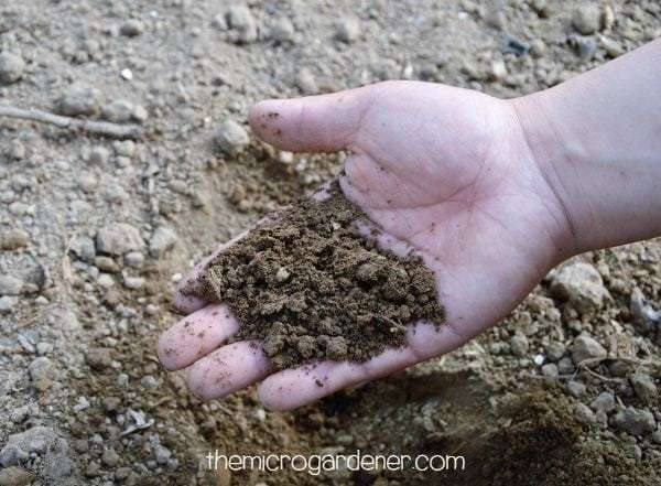 Healthy soil does not look like dead dry lifeless dirt! 