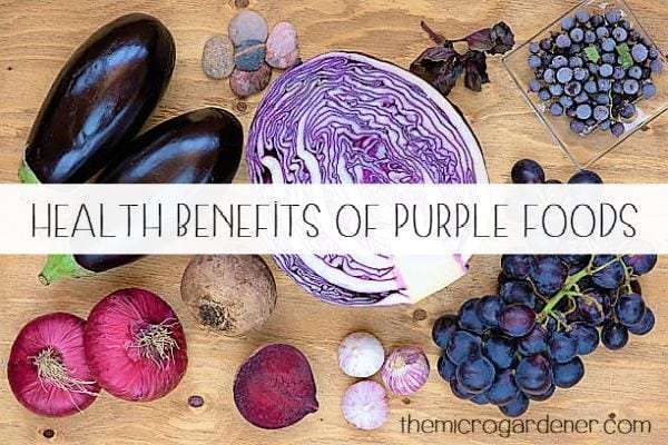 Health Benefits of Eating and Growing Purple Foods 
