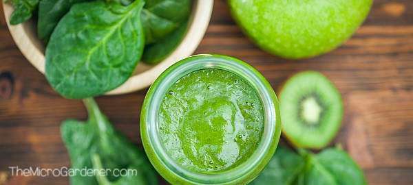 Spinach, kiwi fruit and apple Green Smoothie juice