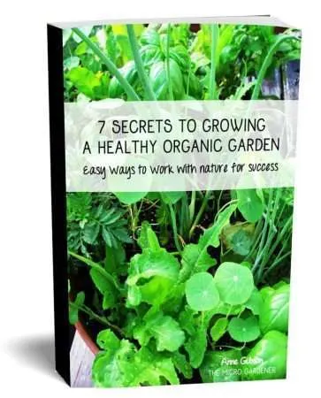 7 Secrets to Growing a Healthy Organic Garden eBook