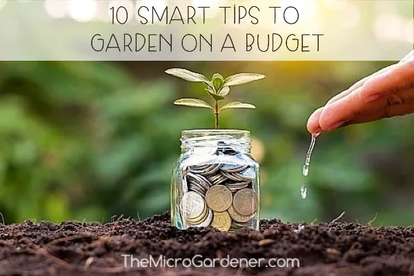 10 Smart Tips to Garden on a Budget - money saving ideas to grow food