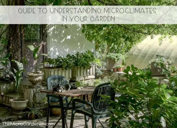Guide to Understanding Microclimates in your Garden