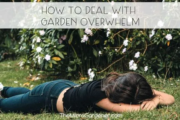 How to Deal with Garden Overwhelm - Helpful Tips
